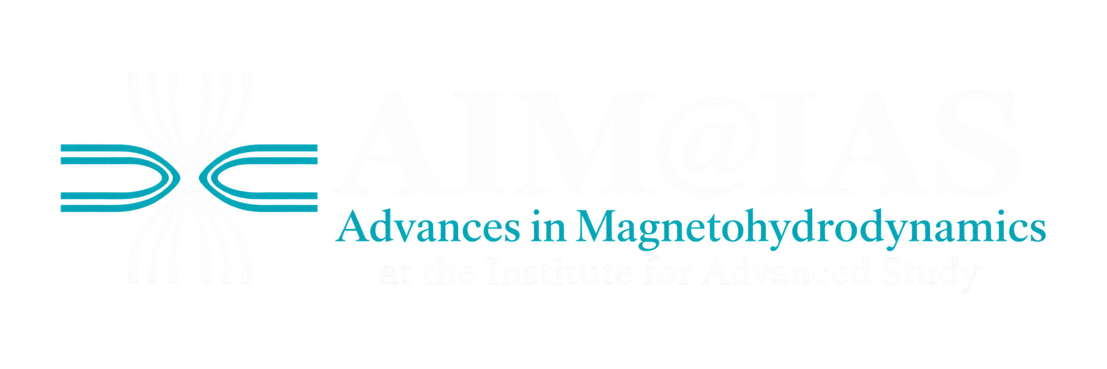 Advances in Magnetohydrodynamics (AIM) at the IAS