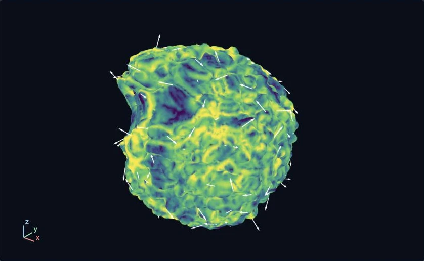 SNR 26: vorticity magnitude with vorticity arrows